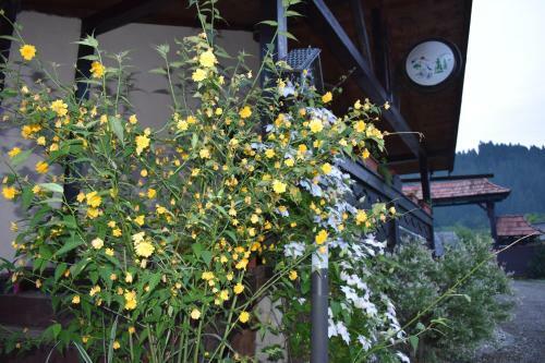 Lodge Clematis House