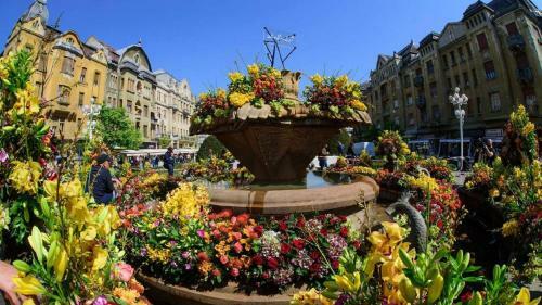 Rox Central Apartments