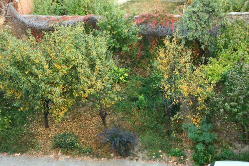 Dominic Apartment Unirii Square