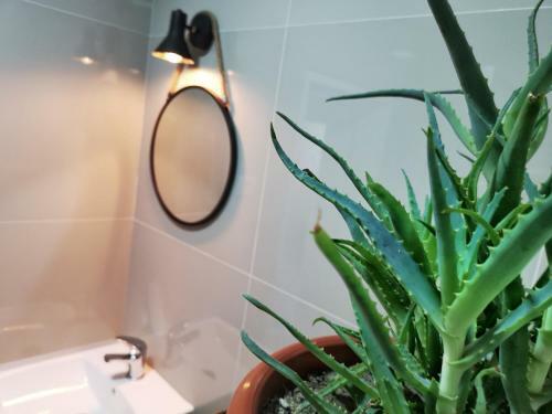 Apartamento Home Garden Oasis