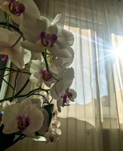 Apartamento Home Garden Oasis
