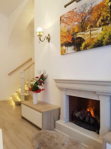 Deluxe Downtown Apartment Timisoara