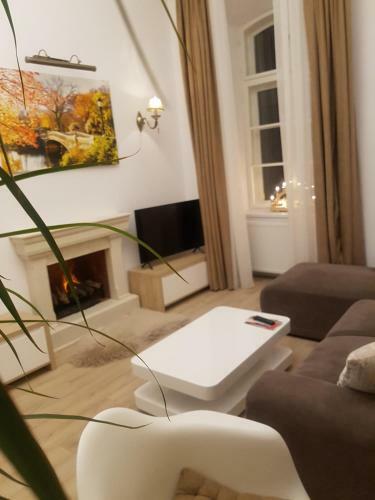 Deluxe Downtown Apartment Timisoara
