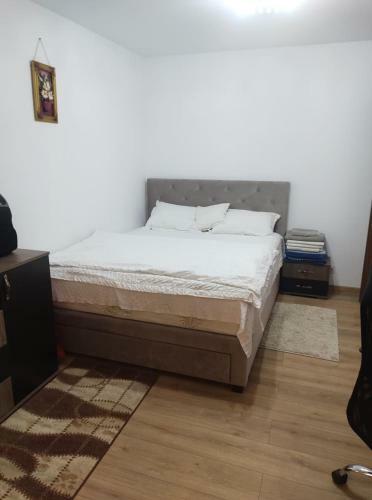 Apartament Spa?ios 3 Camere