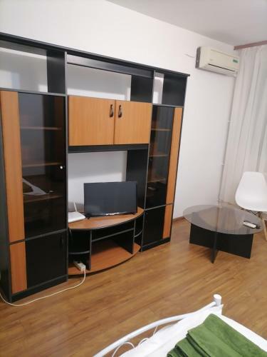 Bega Circumvalatiunii 1 Room Apartment - 3