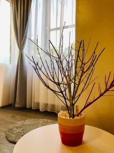 Modern Apartment In A Quiet Area - Spitalul Judetean Is14