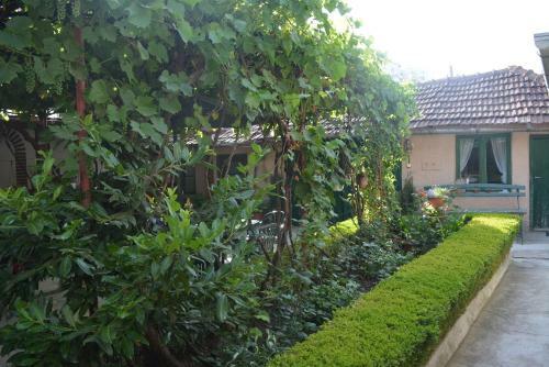 Hostal Felix 88