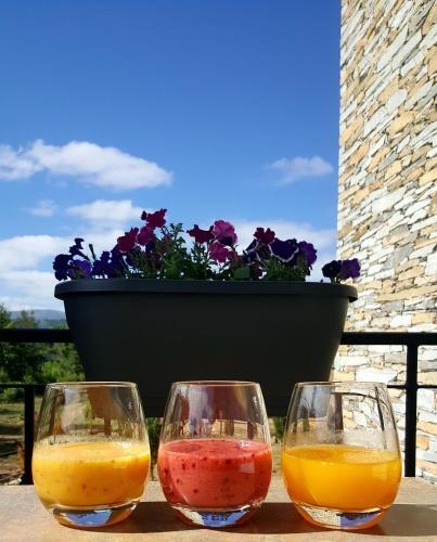 B&B En Glamping Quinta Do Rio Alva