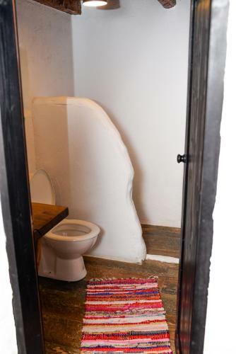 Hostal Satu Muscelean