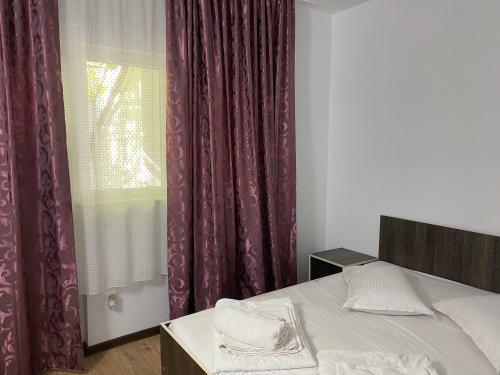 Hostal Vila Ana Trident Costinesti