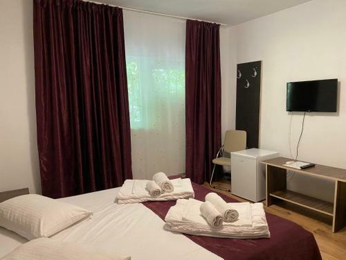 Hostal Vila Ana Trident Costinesti
