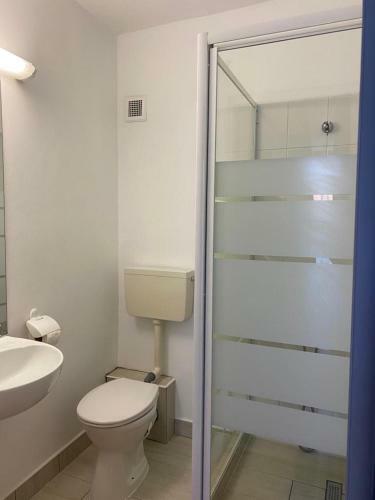 Hostal Vila Ana Trident Costinesti