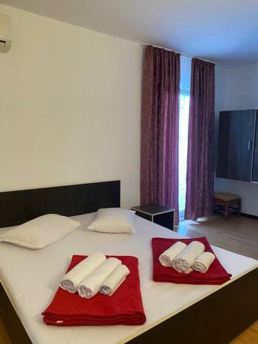 Hostal Vila Ana Trident Costinesti