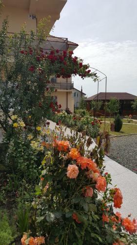Hostal Timona- Camere De �nchiriat