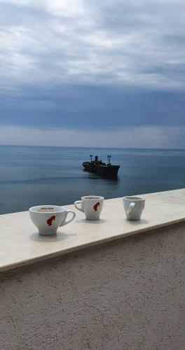 Hostal Black Sea View Costinesti
