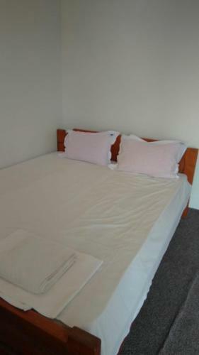 Hostal Vila Stefan Pescarusului Costinesti