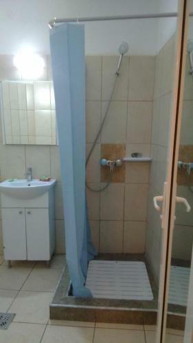 Hostal Vila Stefan Pescarusului Costinesti