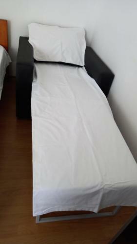 Hostal Vila Stefan Pescarusului Costinesti