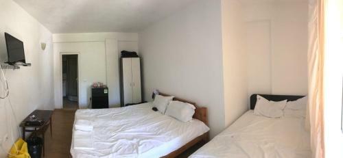 Hostal Vila Stefan Pescarusului Costinesti