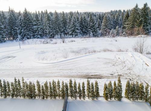 Timber View Apartment Silver Mountain Poiana Brasov