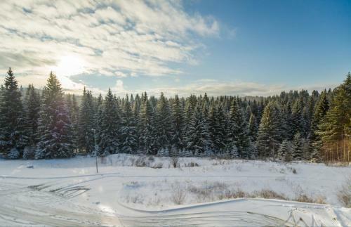 Timber View Apartment Silver Mountain Poiana Brasov