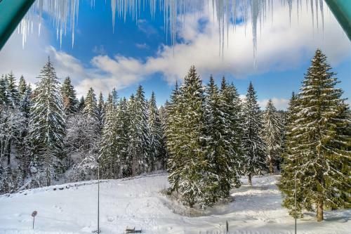Apartamento Charming 2-bedroom, Silver Mountain, A Building
