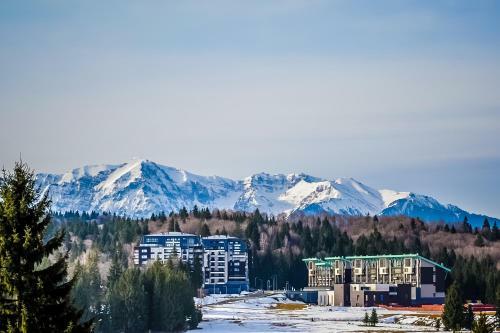 Sunny Apartment In Silver Mountain