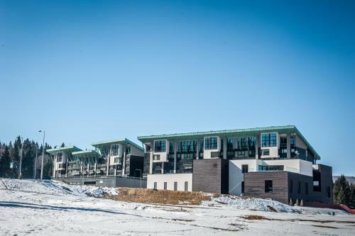 Sunny Apartment In Silver Mountain