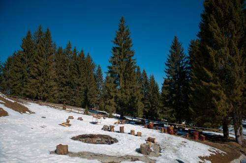 Nature Retreat 2 Bedroom Apartment Silver Mountain