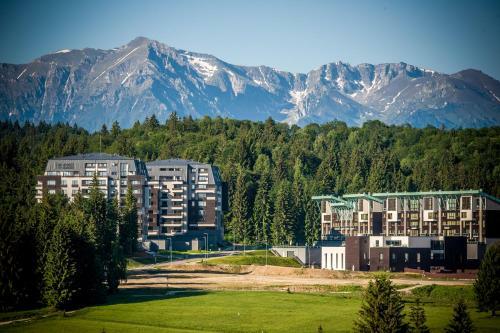 Ambient Apartment In Silver Montain - Poiana Brasov