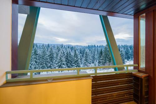 Loft Apartment Silver Mountain