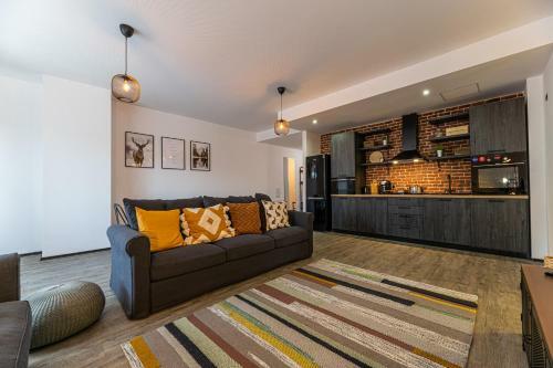 Brasov Welcome Apartments-silver Poiana Brasov