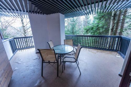 Alpin Resort Apartament Executiv