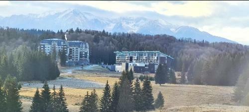 Fabulous Views Silver Mountain 3 Rooms Apartment