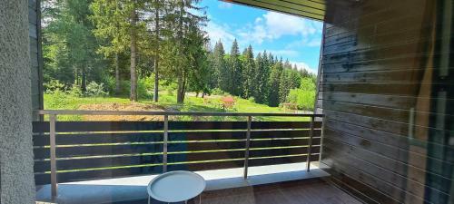 Fabulous Views Silver Mountain 3 Rooms Apartment