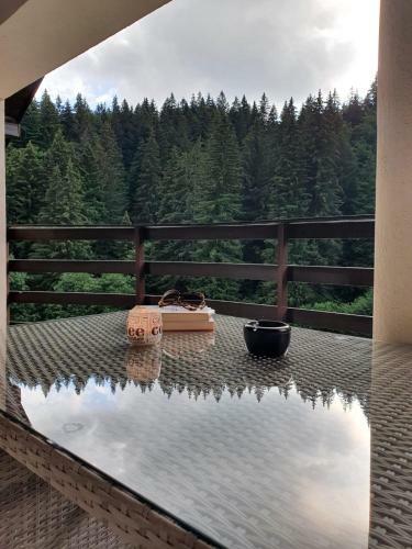 Apartament Ozon Poiana Brasov