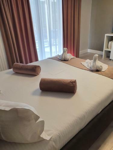 Apartament Ozon Poiana Brasov