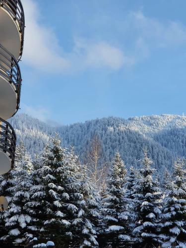 Apartament Ozon Poiana Brasov