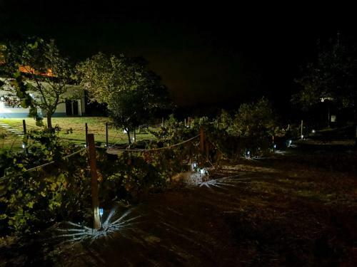 Bed & Breakfast Herdade Dos Sepol