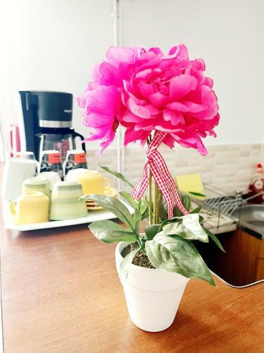 Apartament Roxana