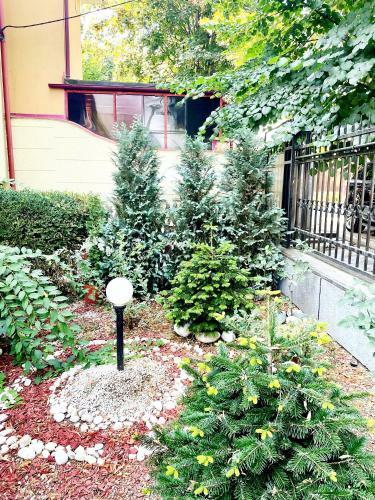 Apartament Roxana