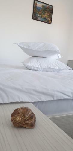Hostal Casa Margo