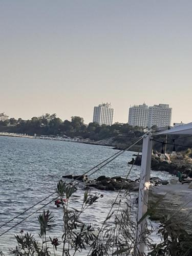 Apartamento Garsonier? Sorin