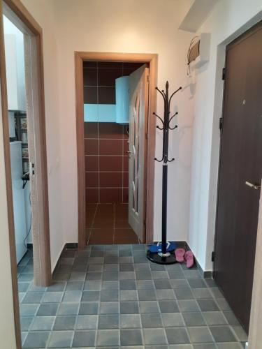 Apartamento Garsonier? Sorin