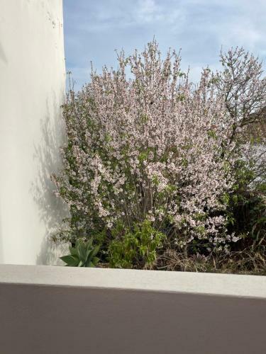 Hostal Casa Da Aldeia - Guest House