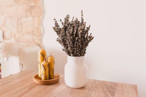 Apartamento Retro Studio By The Sea