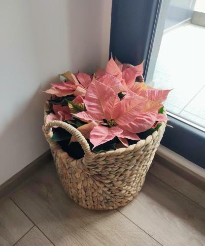 Apartamento Retro Studio By The Sea