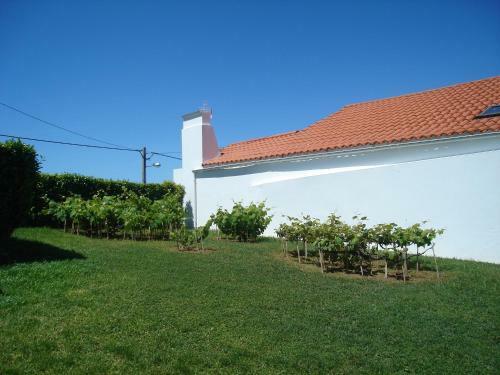 Agroturismo Um Cantinho De Sossego