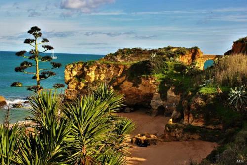 Apartamento Albufeira Balaia Golf Village 641