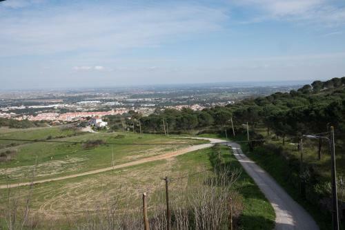 Y.palmela - Boutique Apartments